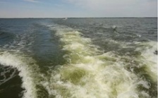  烏梁素海生態環境形勢仍不樂觀 綜合治理規劃不嚴不實