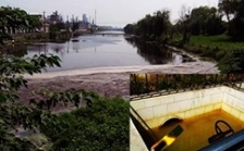  江蘇泰興短期內(nèi)連遭生態(tài)環(huán)境部嚴(yán)批后續(xù)：市委副書記等5人被問責(zé)