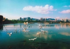  生態(tài)環(huán)境部通報(bào)水源地專項(xiàng)督查進(jìn)展