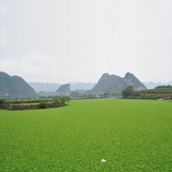  氣溫下降，我的氨氮超標怎么辦