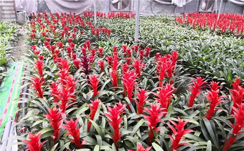 水源地治理出重拳，濟南南部山區(qū)回歸綠水青山