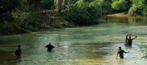 水渾了？不用怕，這五個方面讓水質恢復清新