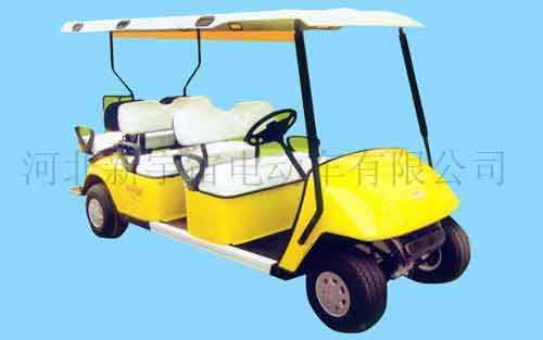 國內電動轎車首領牌照