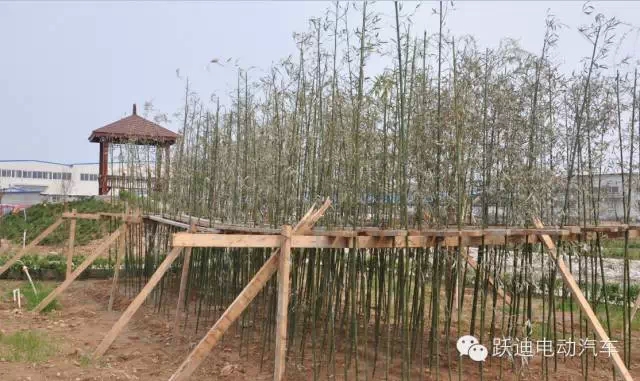 春暖花開、綠色躍迪---躍迪集團綠化工作進行中！