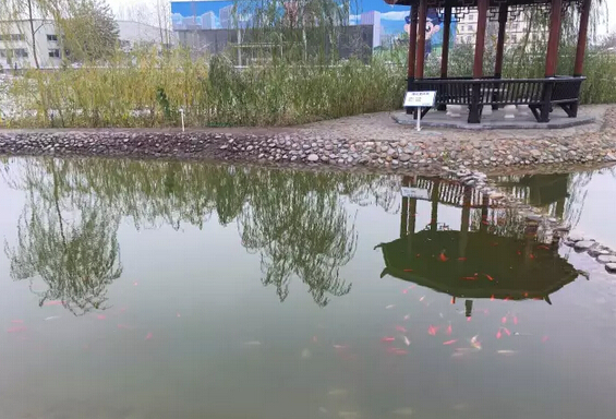 下雪天的躍迪集團，咱也跟跟風。。。