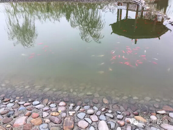 下雪天的躍迪集團，咱也跟跟風。。。