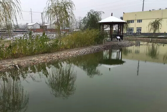 下雪天的躍迪集團，咱也跟跟風。。。