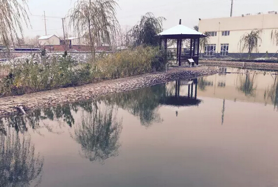 下雪天的躍迪集團，咱也跟跟風。。。