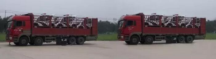 躍迪移動城管執法站、躍迪電動巡邏車大批量發往首都北京——有躍迪,才安心