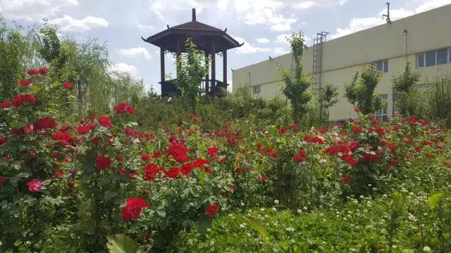 躍迪十年發展引人贊，百年躍迪輝煌令人盼