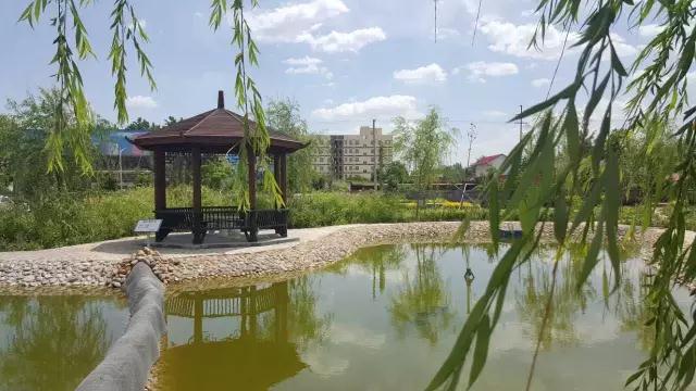 躍迪十年發展引人贊，百年躍迪輝煌令人盼