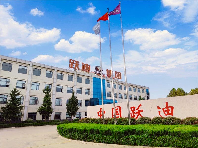 零排放 低噪音丨躍迪集團新能源觀光車發往江蘇